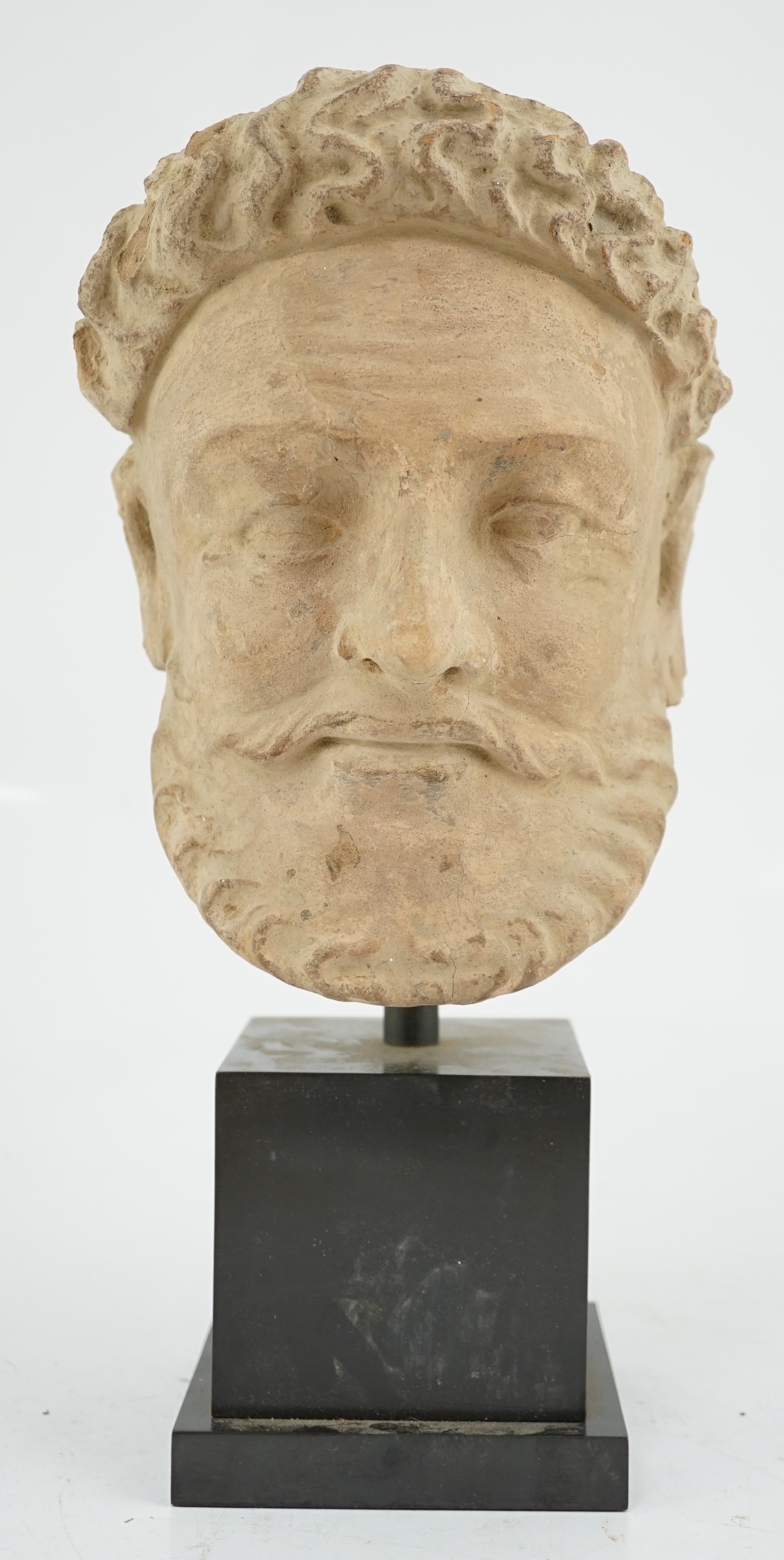 A terracotta head of a man, Gandhara, 3rd/4th century A.D.